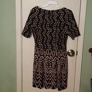 Cute little black and polka dot knit dress.